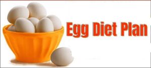 Egg Diet Plan